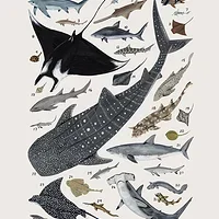 

Soft & Durable Foam Front Bumper for YOKOMO YD2 YD4 | Easy Install Upgrade | Protects RC Car from Crashes | Y4-001F Sponge Acces