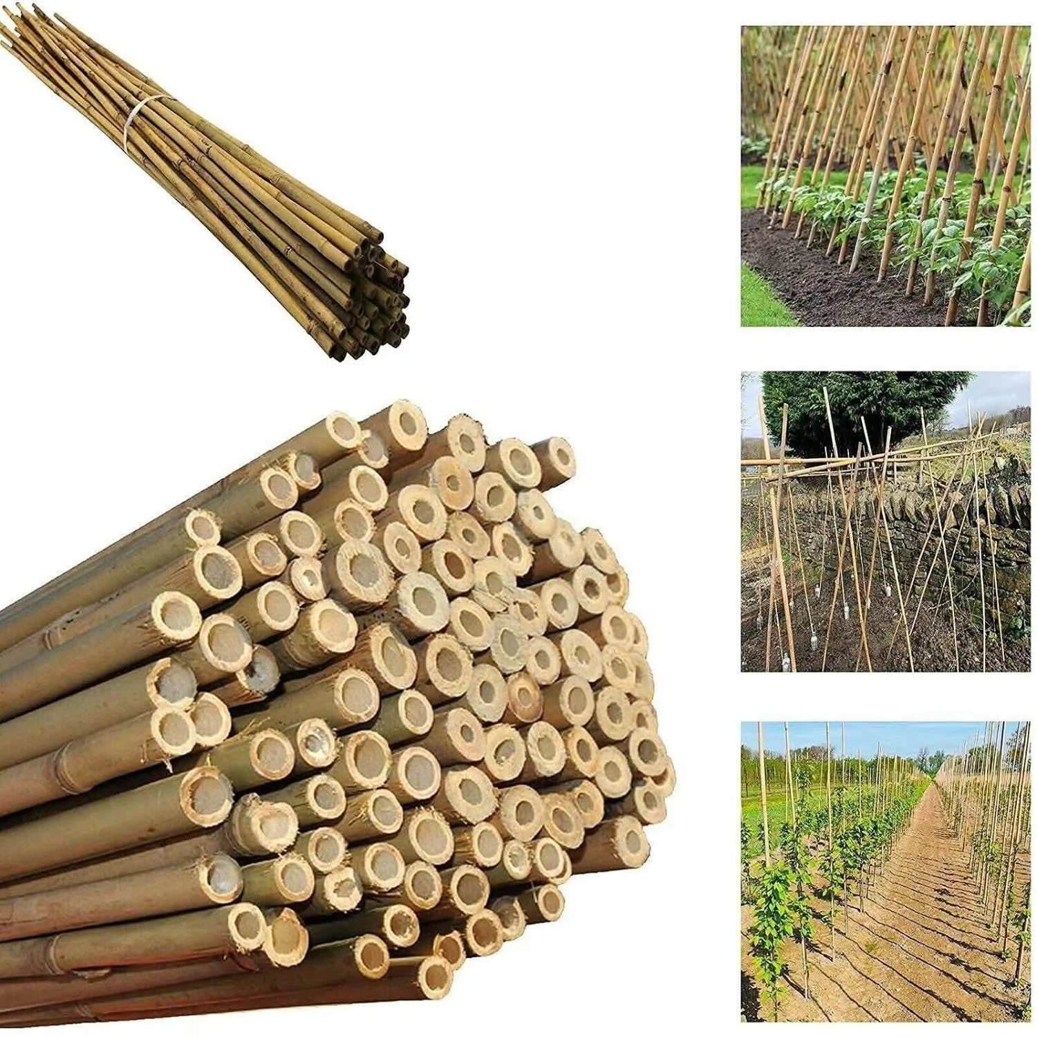 

40Pcs. 5' x 1/2'' Bamboo Plant Stakes Indoor Outdoor Plants, Bamboo Sticks Garden Plant Support Stakes Bamboo Poles Trellis