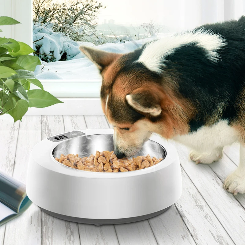 

Pet Smart Heating Bowl Cat Dog Basin Constant Temperature Insulation Bowl Cat Drinking Water Heating Water Grain Basin
