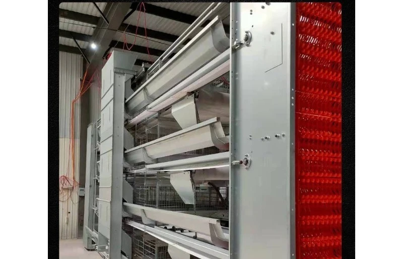 Large Tiered Layer Chicken Cage Automatic Egg Collecting Thickened Column Sturdy Durable Independent Compartment