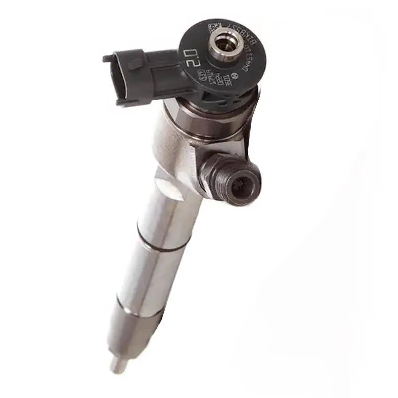 Рисунок 2 - Топливная форсунка Common Rail 0445110582