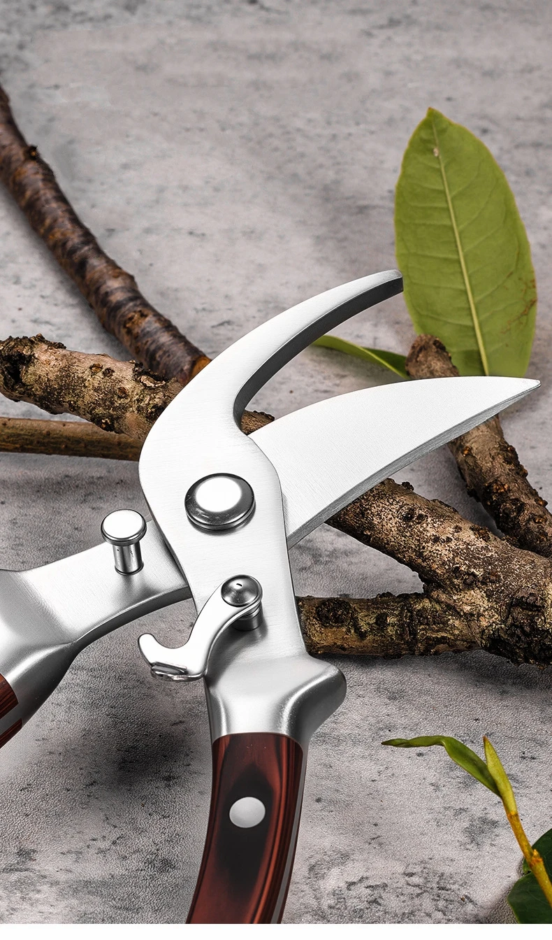 Thumbnail 2 - #60 Pruning Shears List of Top Picks