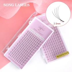 SONG LASHES 2D/3D/4D Premade Fans Long Stem Lashes 0.07/0.10/0.20 Thickness High Quality Russian Volume Fake Eyelashes Extension