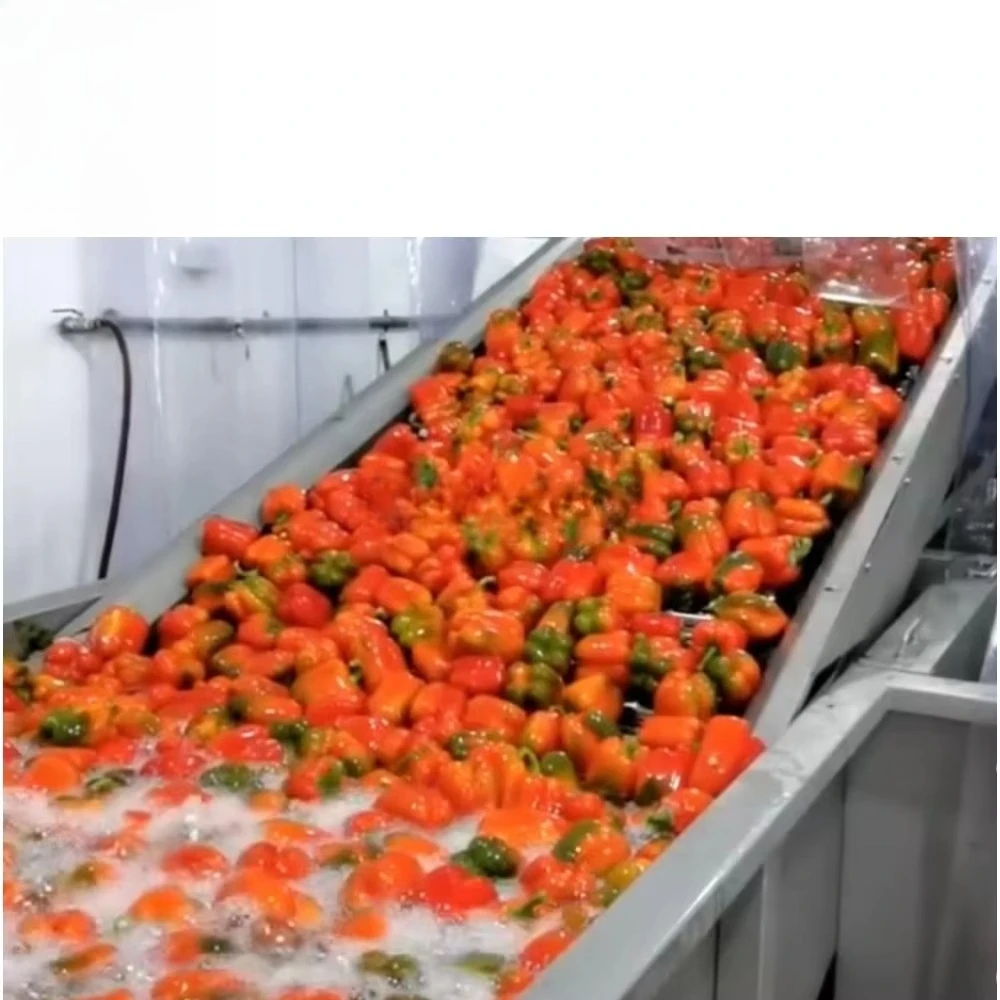 FOODLINE Custom Size Fruit Cleaning Machine Double Layer Tank Separate Washing And Soaking For Food Factory