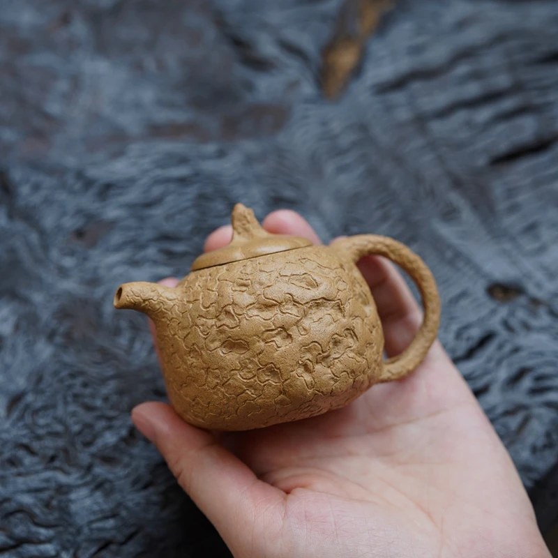 

Zen Yuantang Yixing Handmade Yixing Clay Teapot Kung Fu Teapot Gem for Spring Raw Ore Old Segment Mud 100cc