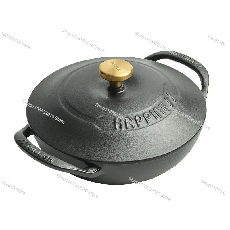 Household Uncoated Stew Pot, Multifunctional Enameled Pot, 21cm Cast Iron Soup Pot, Palace Rice Cooker Pot