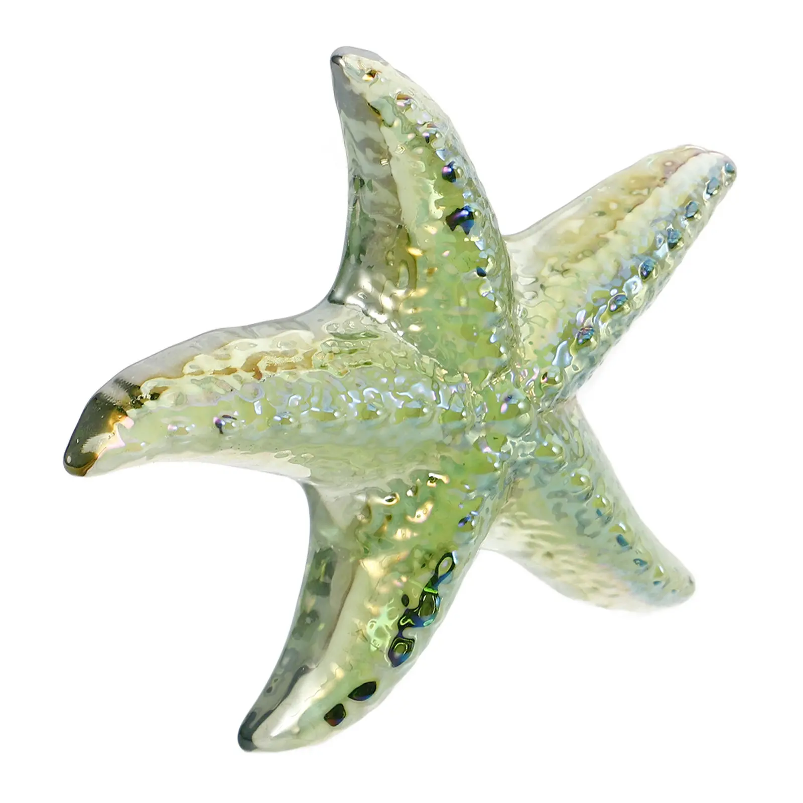 Star Decor Lifelike Ocean Themed Ornament for Home Office Bedroom Nursery Shelf Desk Decor Indoor Farmhouse