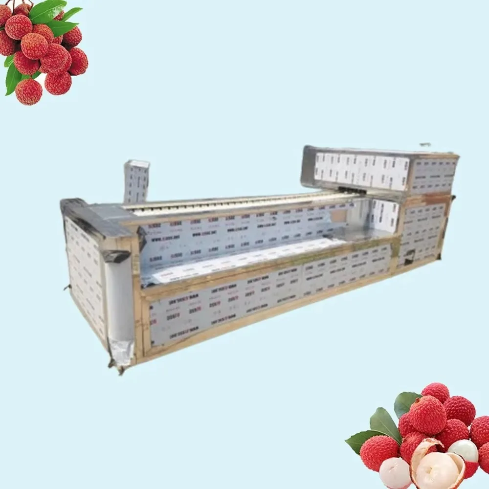 Factory Price Large Capacity Electric Lychee Pitting Machine Lychee Seed Removing Machine for Commercial Use
