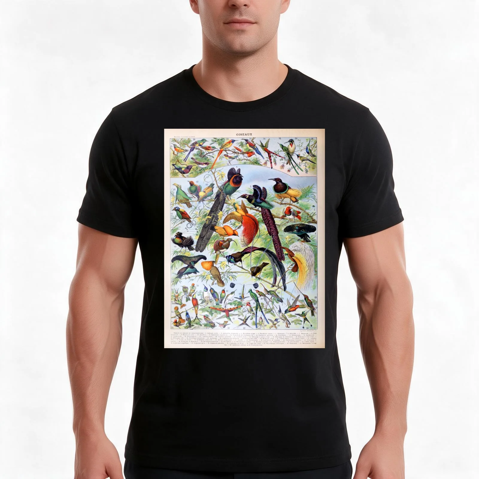 Adolphe Millot - Oiseaux B - French vintage poster T-Shirt, Summer Casual Cotton Tee, Oversized Streetwear Tops, 100% Cotton