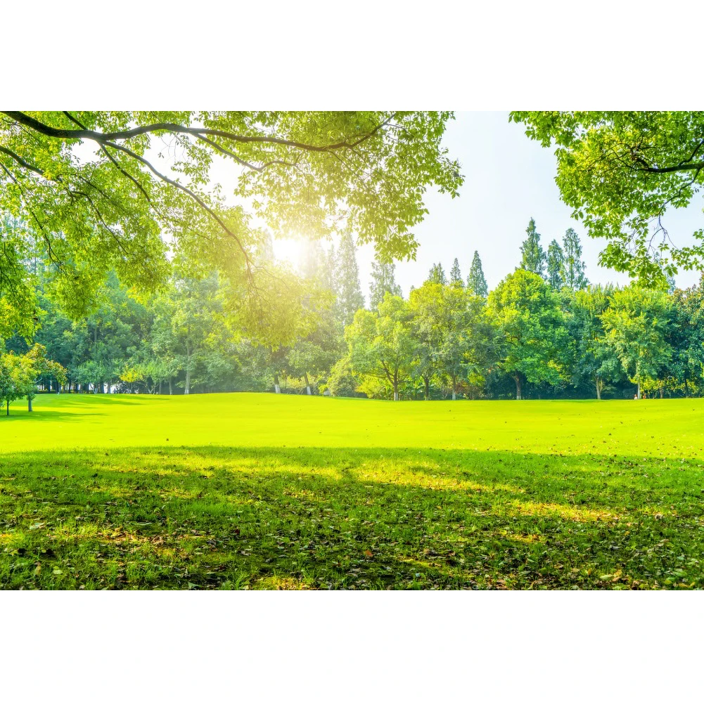 Laeacco-写真の背景,春の写真,屋内用,緑のグラス,写真の背景