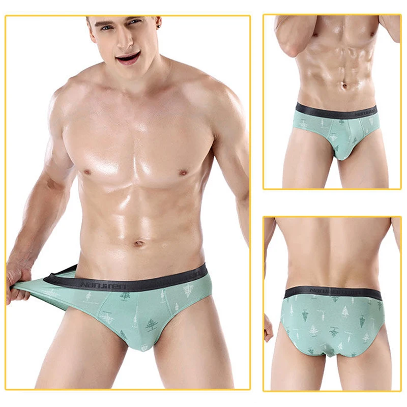 4Pcs Men Sexy Briefs Cotton Underwear Men\'s Breathable Brief Underpants Comfortable Mens Soft Print Shorts Cueca Male Panties