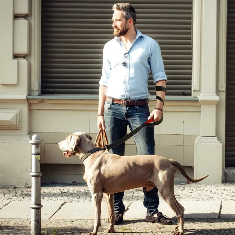 

1.2/1.5/1.8m Two Handle Heavy Duty Double Handle Nylon Dog Leash For Training Control Guard Rope Walking Cats Dogs Harness Lead