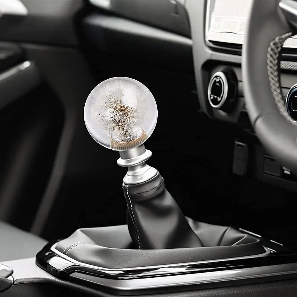 Universal 70MM Racing Crystal Ball Dandelion Real Flowers Gear Shift Knob Head Transparent DIY Modification Car Accessories