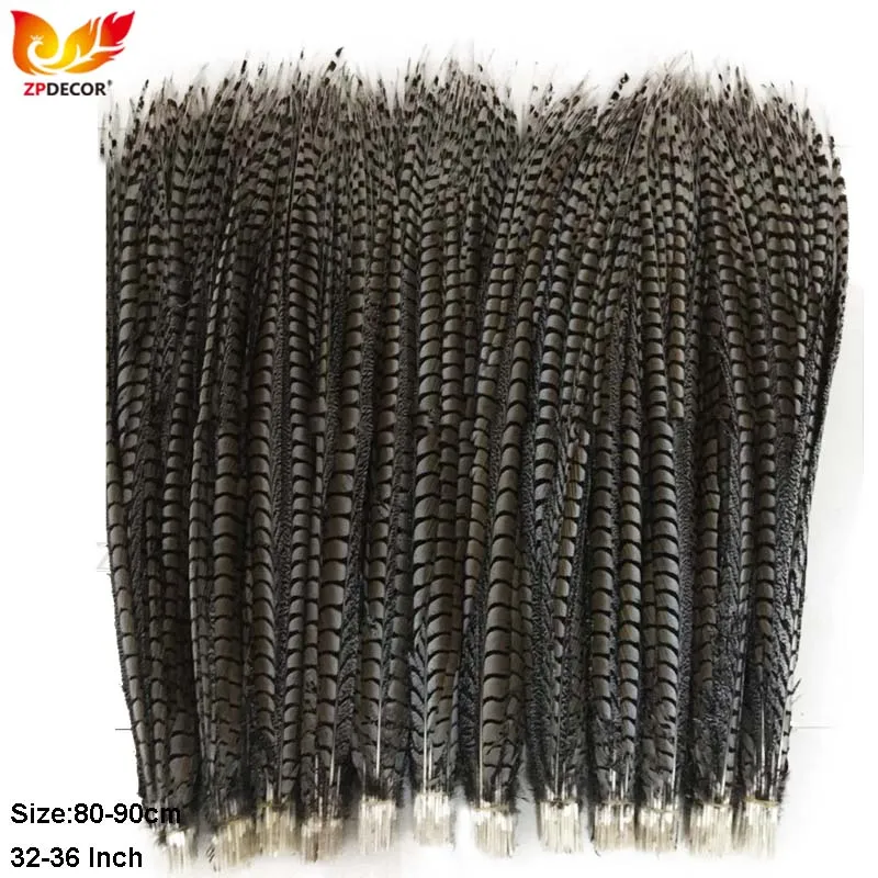 

ZPDECOR Lady Pheasant Feathers 80-90 cm/32-36 Inch Long Plumes for Fashion Crafts DIY