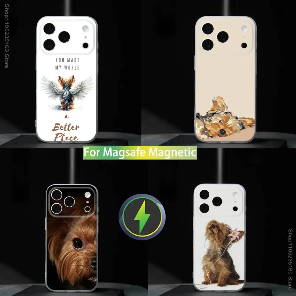

Yorkshire Terrier dogS For iPhone 11,12,13,14,15,16,17,Pro,Max,Plus,Mini,SE4,E Phone Case With Magsafe Wireless