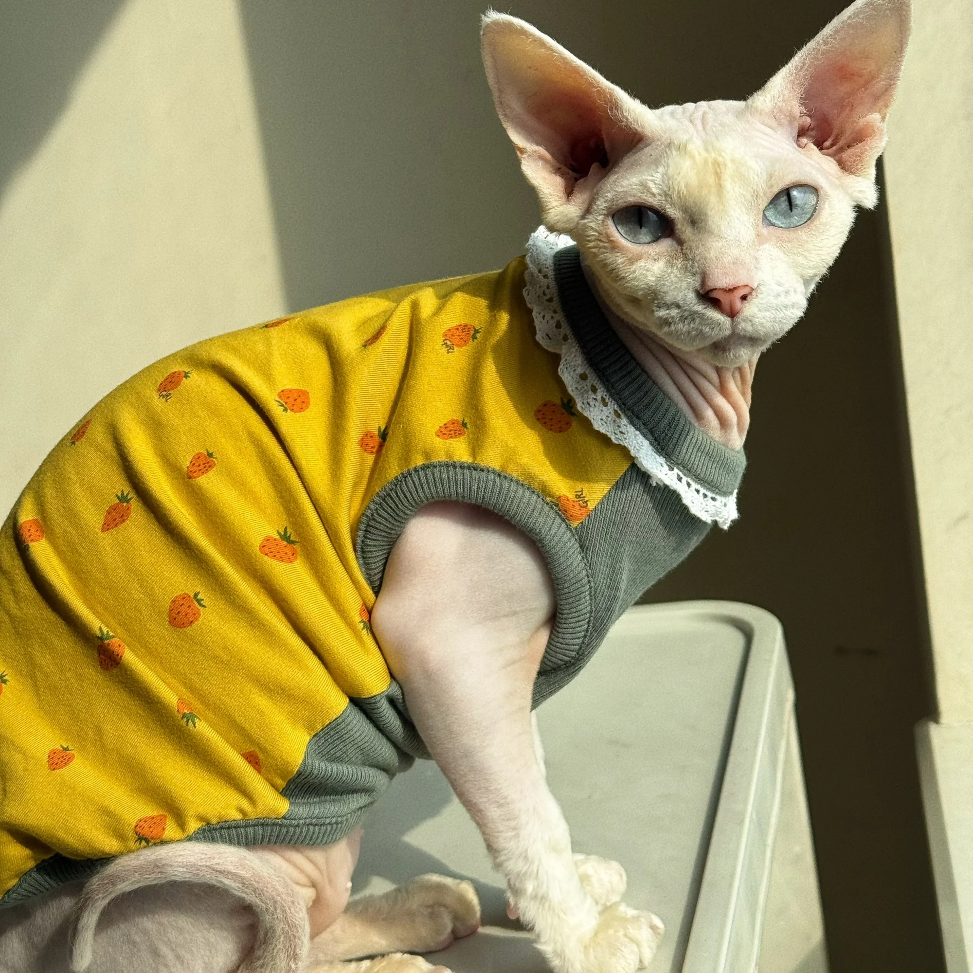 Kleidung für Katzen Frühling S – Summer Green Clothing Bewertung und Preis