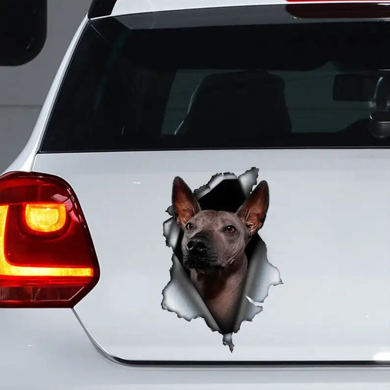 

Xolo decal, Xolo sticker, Xolo magnet, Xoloitzcuintle magnet, Xoloitzcuintle sticker