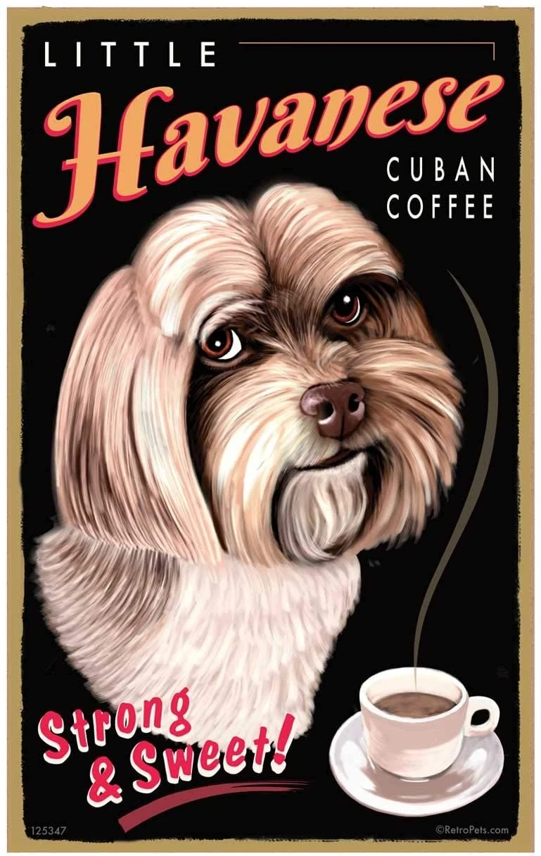 Retro Pets Little Havanese Cuban Coffee, Havanese Art - 10 x 16 inch Decorative Wall Art Hanging Sign (125347)