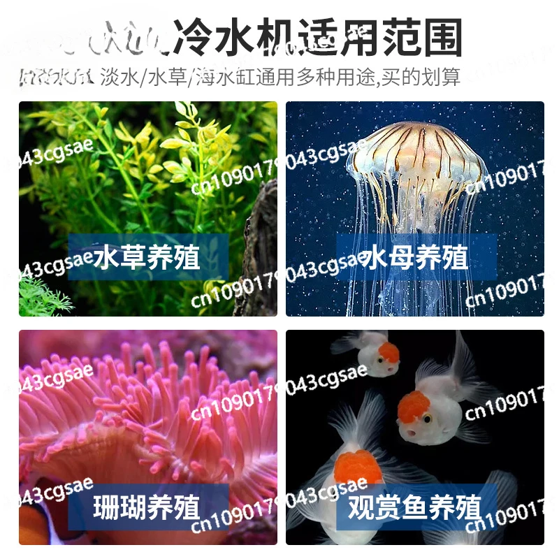 Household Aquarium Coral Fish Tank Special Chiller Outdoor Small Cold Therapy Ice Bath Chiller LG-CY300