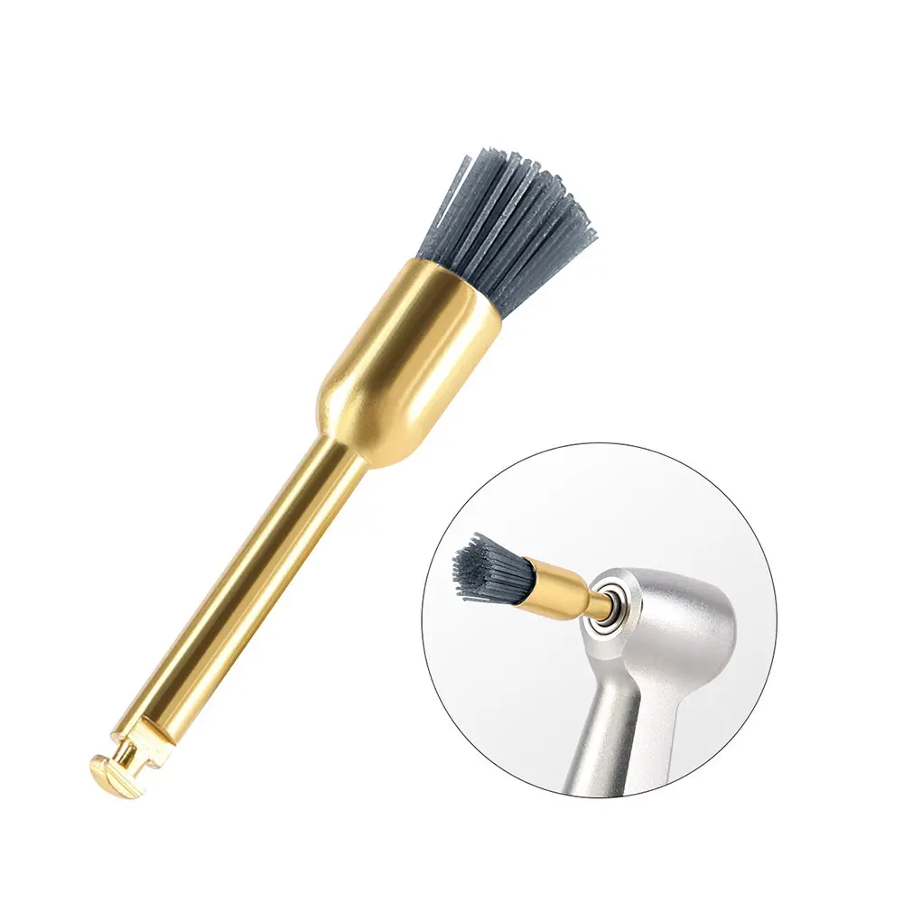 10PCS AZDENT Dental Polieren Pinsel Aluminium Oxid Siliziumkarbid Polieren Prophy Pinsel Werkzeug für Contra Winkel Handstück – Detail 10