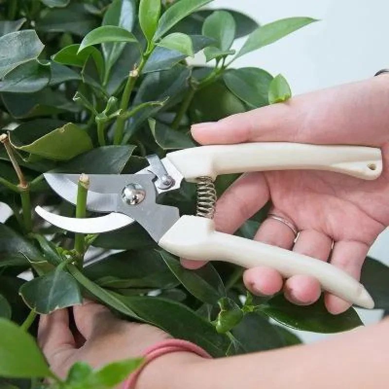 1 Pcs Stainless steel twig pruner pick fruit flower wood scissors garden fruit trees garden scissors garden tools