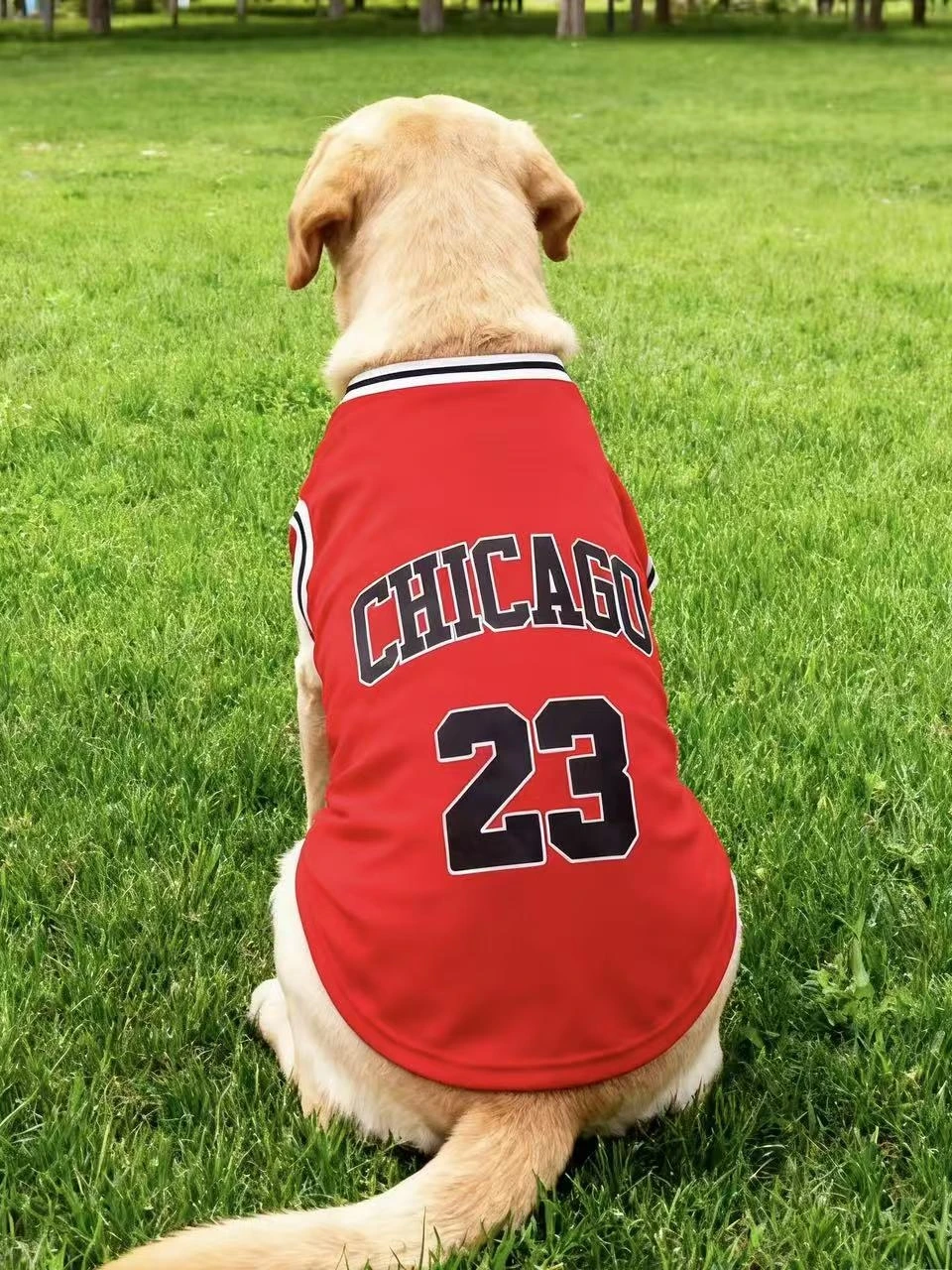 Sommerliches, leichtes, atmungsaktives Hundesport-Tanktop, Stil 23, für mittelgroße und große Rassen, Dobermann, Golden Retriever, Deutscher Schäferhund – Detail 9
