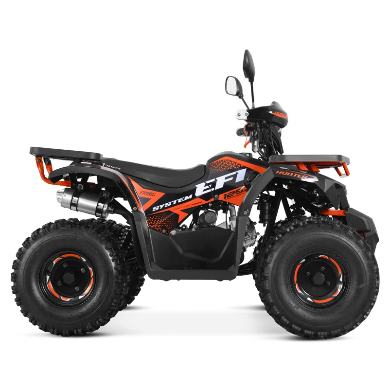 Tao Motor 2024 New EFI Electronic Fuel Injection ATV 125 Cheap Chinese Automatic with Reverse Chain Drive Farm ATV 125cc ATV