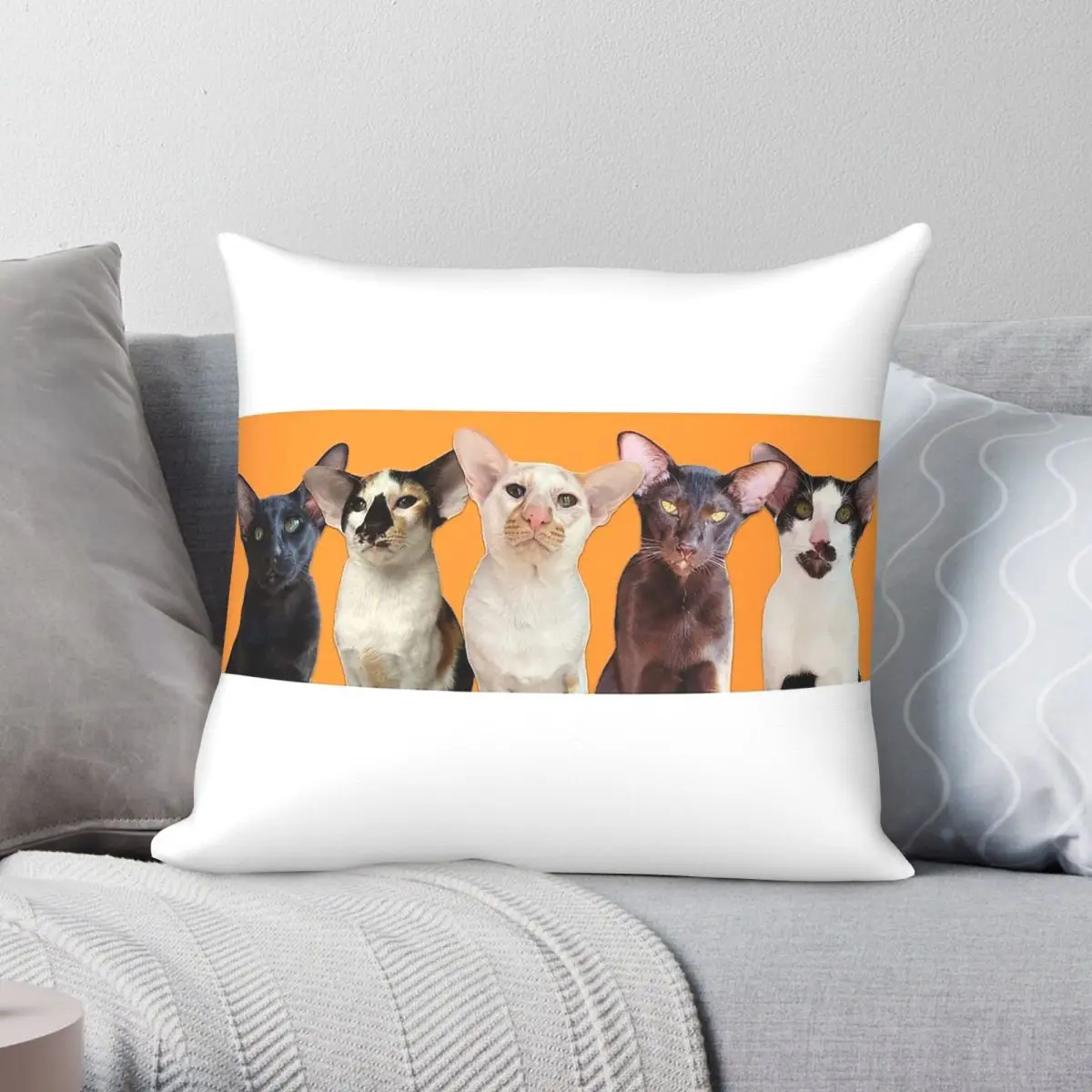 Five Crazy Cats Square Pillowcase Polyester Linen Velvet Pattern Zip Decorative Room Cushion Case