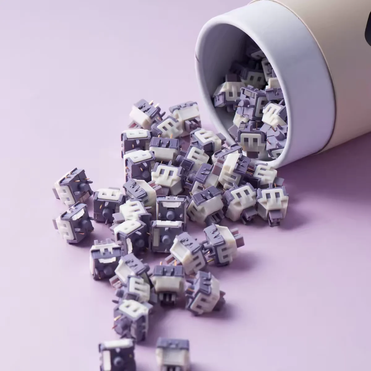 Xllab X Lichicx Yam…