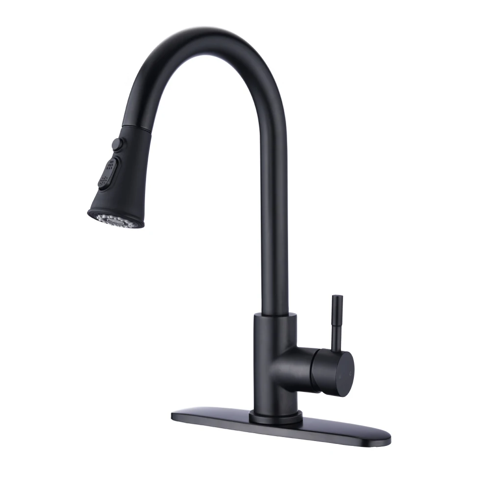 

Pull Down Kitchen Faucet with Sprayer Stainless Steel Matte Black