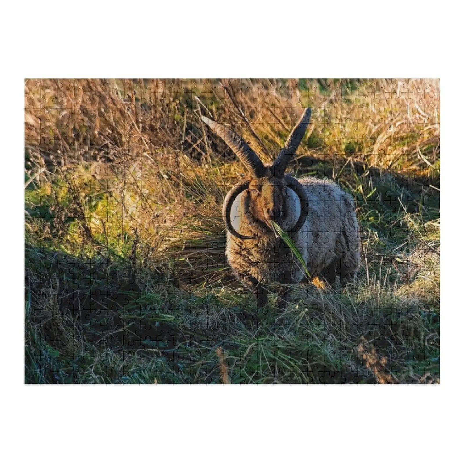 

Rare breed sheep in pasture Jigsaw Puzzle Custom Wood Personalised Name Puzzle