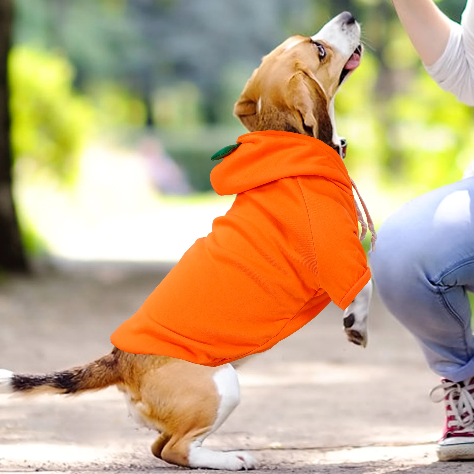 

Carrot Pet Hoodie Winter Dog Clothes Puppy Accessories Boy Dogs XL Chest 56CM 12 16 Pounds Stylish Comfort Polyester Lightweight