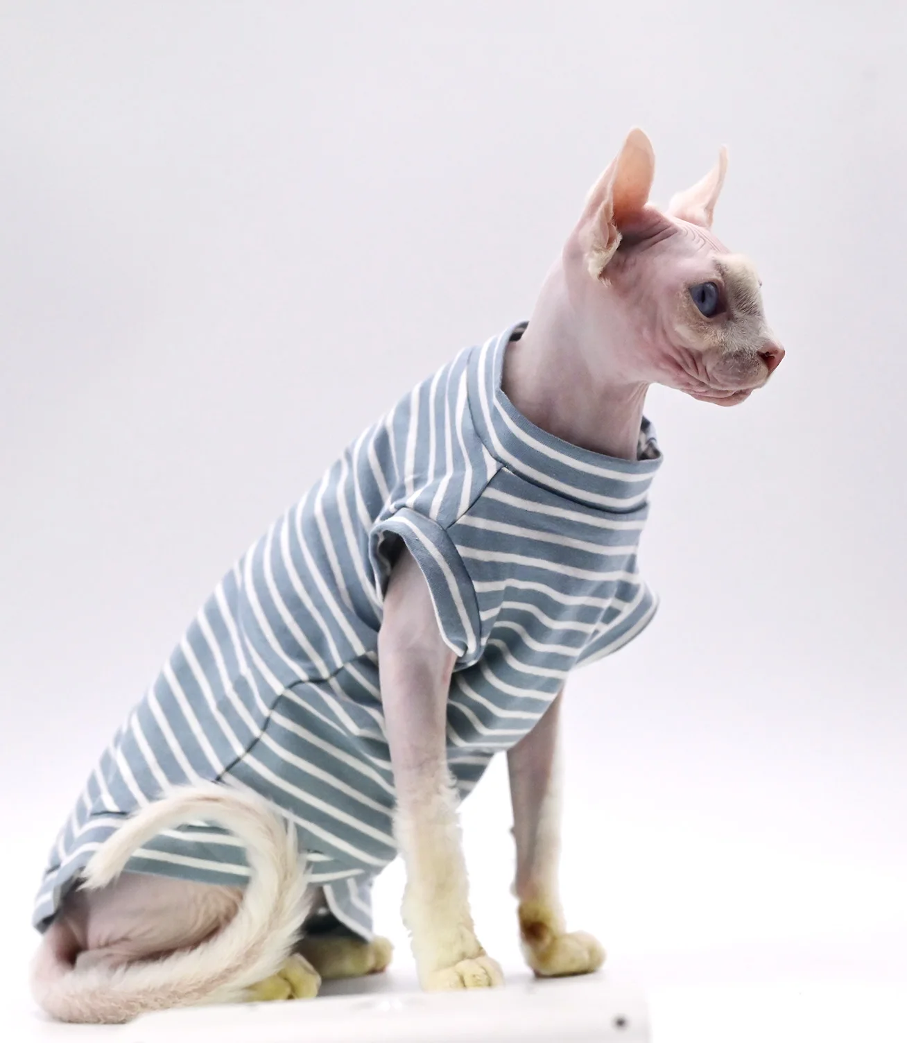 Sphynx Cat Clothes, Summer Cotton, Air Conditioning, Hairless Cats, Devon Rex, Small Cats and Dogs