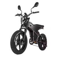 Free Sample 2000W Electric Mountain Bike 20Inch Electric Dirt Bike 2 Wheels MTB for Outdoor Using