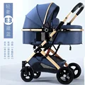 Navy Blue 313