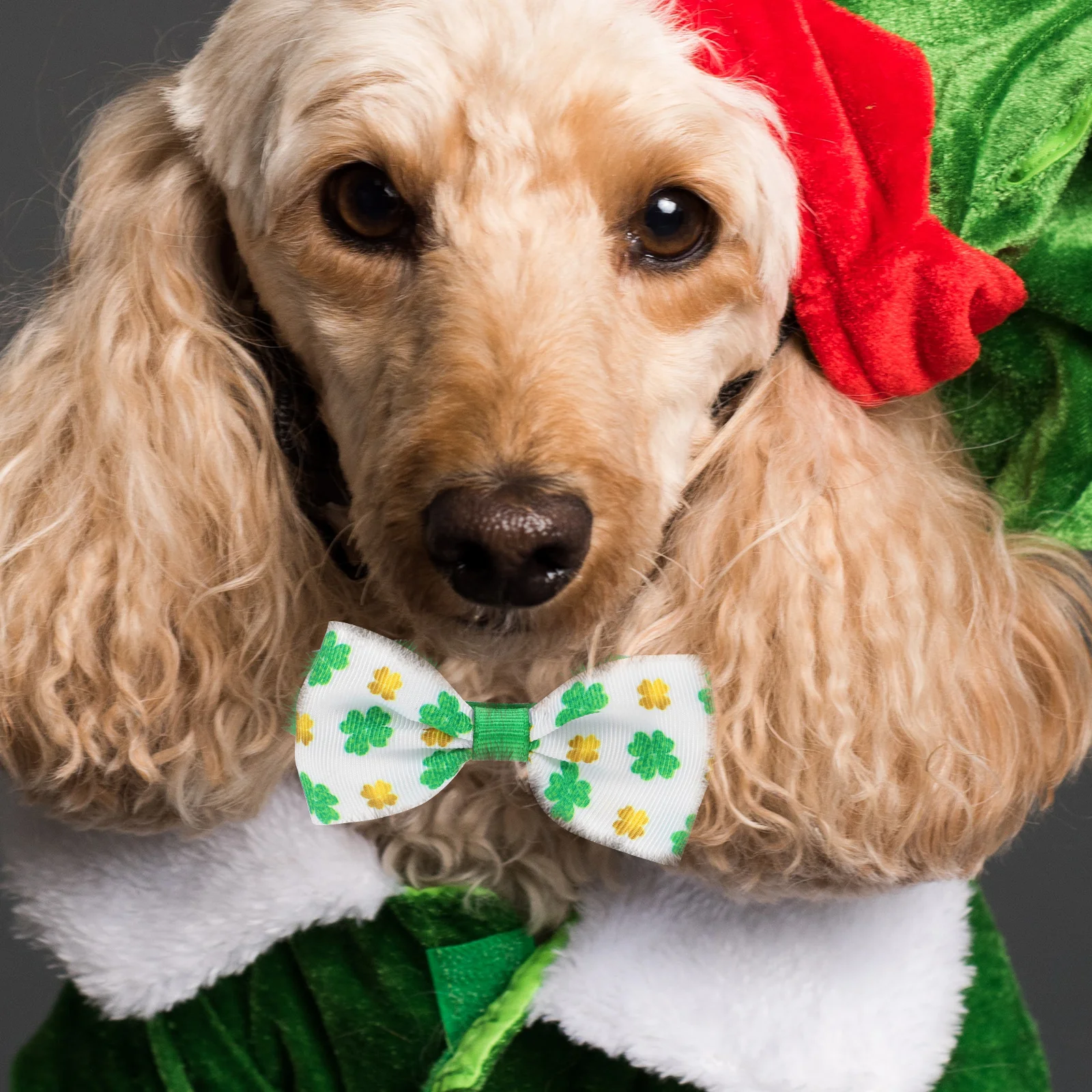 

5pcs Pet Dog Collars St Patrick's Day Bow Tie Adjustable Polyester Puppy Cat Ties Lightweight Festival Holiday Party