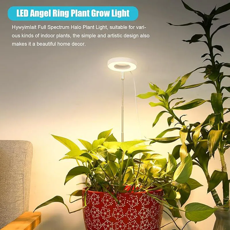 

The Angel Ring Full-spectrum Tabletop Plant Growth Lamp Is Suitable for Indoor Flower Lighting in Offices and Homes