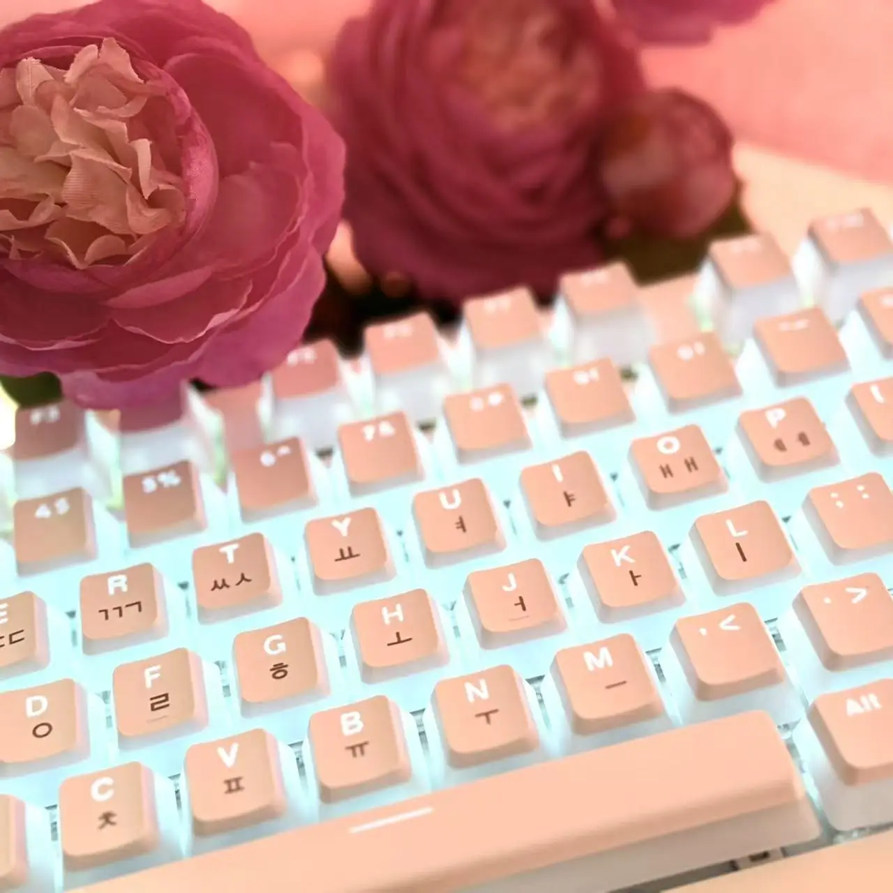 Hangul Keycap Korean Layout Keycap Pudding Keycaps Set PBT OEM Profile For Gaming Mechanical Keyboard for Cherry MX Switch