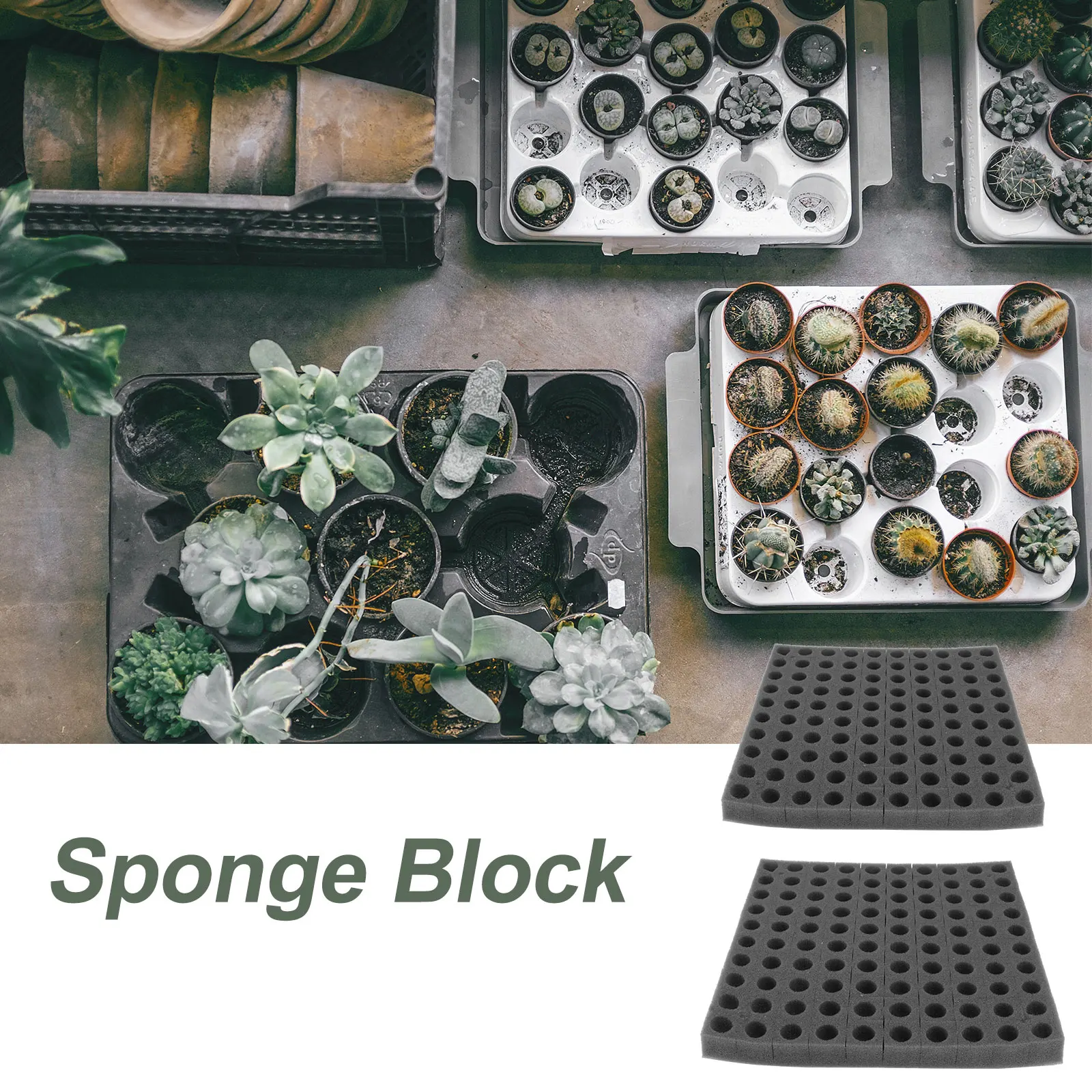 

2 Sheets Seedling Sponge Block Soilless Cultivation Hydroponic Planting Tools Gardening Supplies Vegetable Garden Equipment