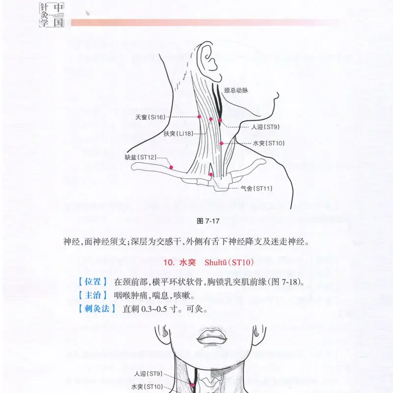 كتاب الوخز بالإبر الصيني الطب الصيني التقليدي الكتاب المدرسي تشنغ شينونغ (الطبعة الخامسة)