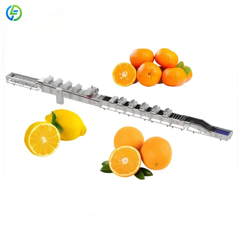 Factory Price Vegetable Grading Machine Carrot Sorting Machine Onion Cucumber Grading Machine Customized