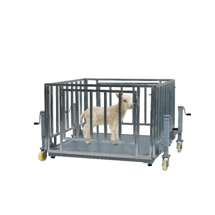 Inexpensive electronic scale with cage for animal sheep  pig livestock scales with wheels that can be moved are customized