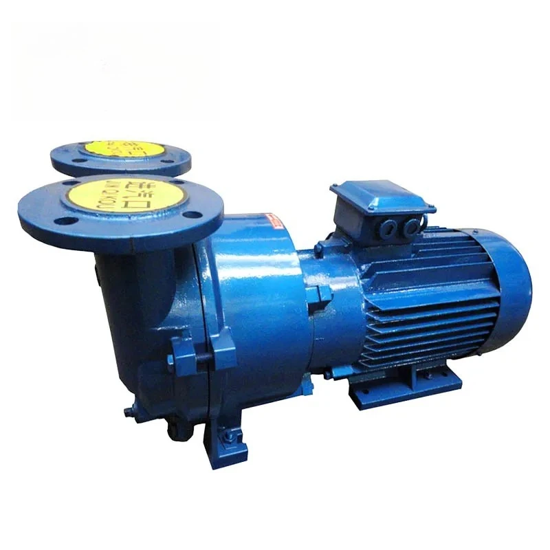 2BV5161 304SS Series Liquid/Water Ring Vacuum Pump Energy Saving for Industrial Use Manufacturer Direct