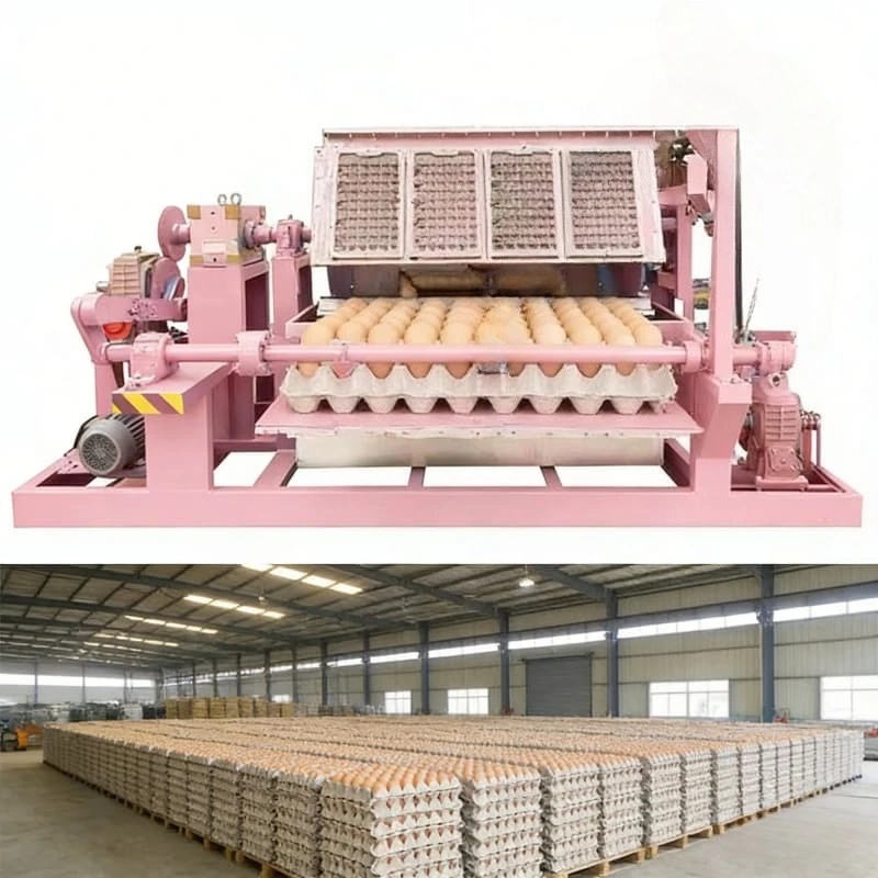 High Efficiency Rotary Egg Tray Making Line Multi Type Paper Tray Production Machine Integrated Pulp Molding Machine Customized