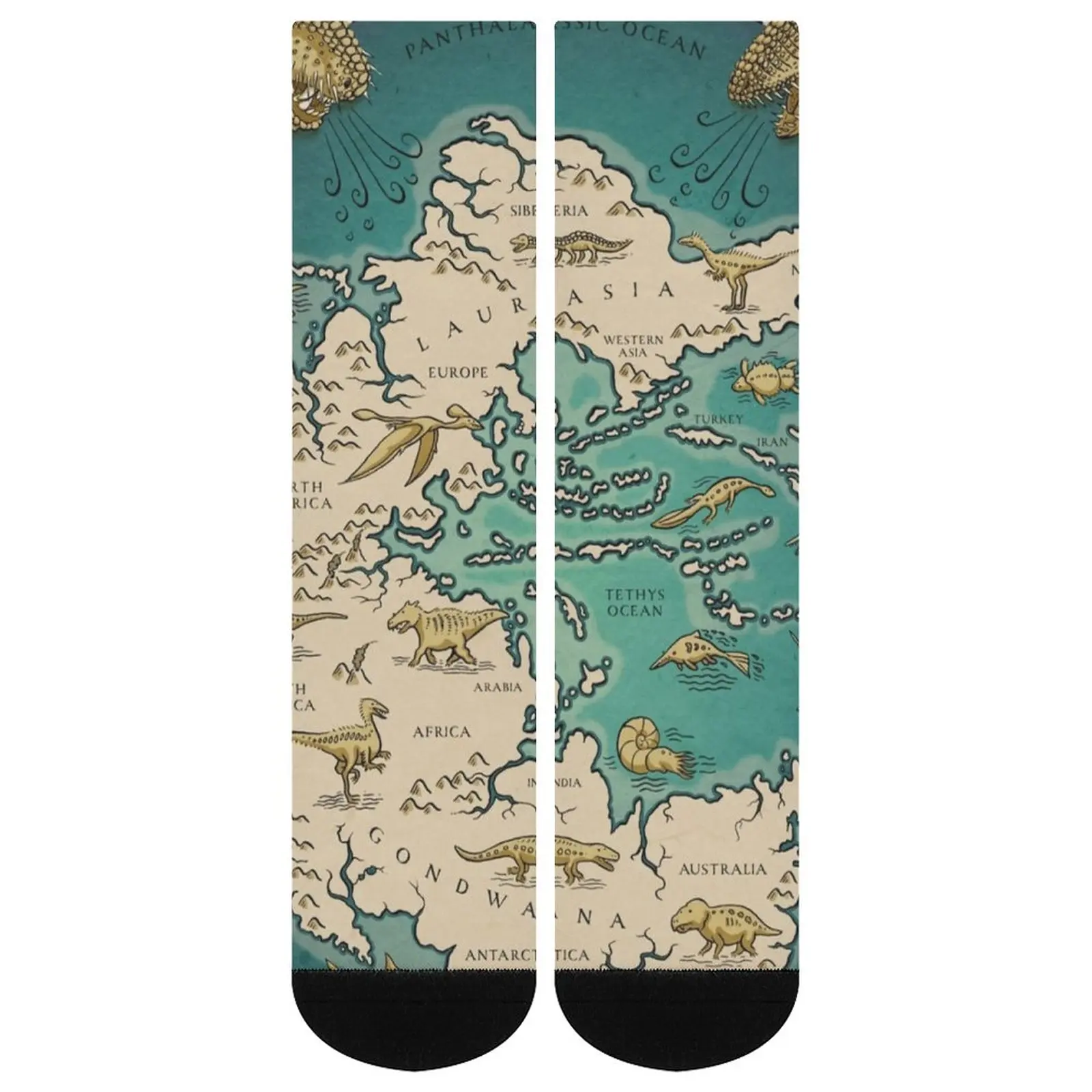 Vintage Map Socks Autumn Supercontinent Pangaea Stockings Fashion Couple Breathable Socks Design Sports Anti Bacterial Socks