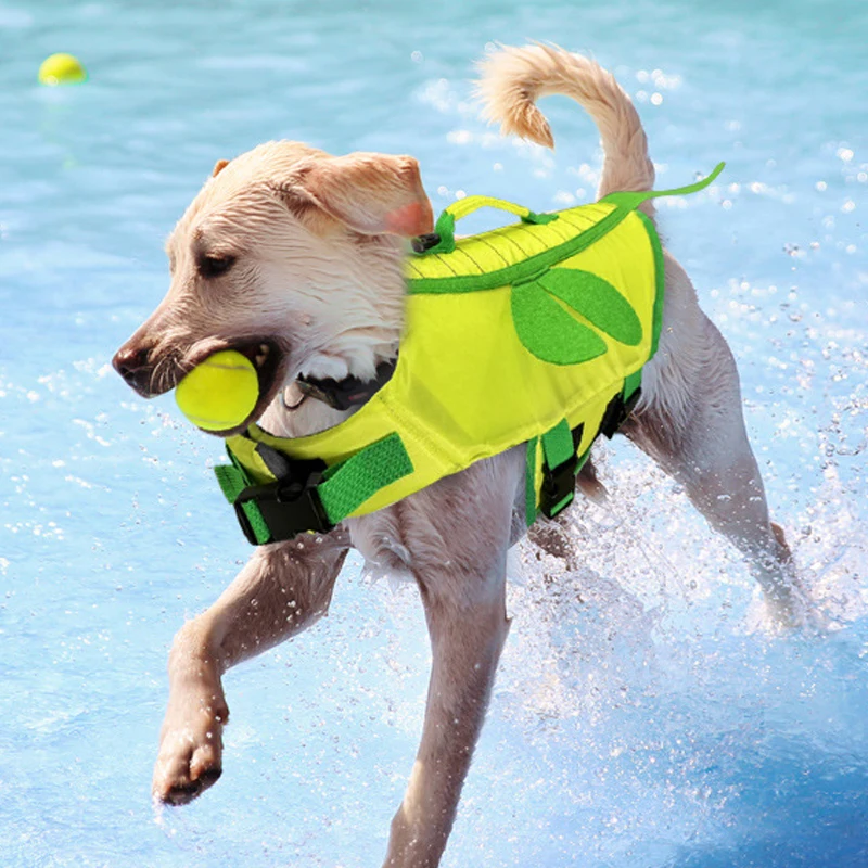 

Pet Dog Life Jacket Vest Clothes Life Vest Collar Harness Pet Dog Swimming Summer Swimwear Clothes Dragonfly Bee Pet Clothes