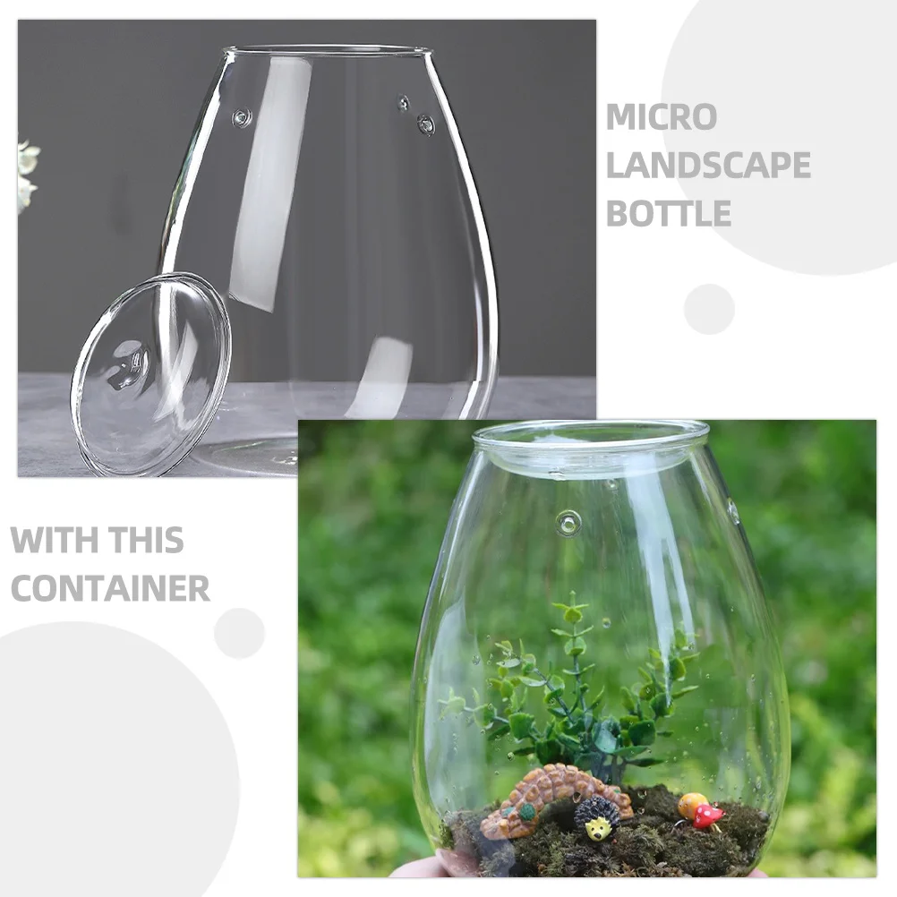 

Decorative Terrarium Bottle Empty Glass Vase Creative Moss Plant Container Interior Decor Terrarium Glass Containers