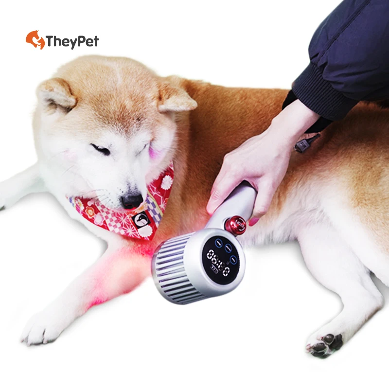 

Диодный лазерный терапевтический аппарат ближнего инфракрасного диапазона 808 нм для вида мышечной боли, восстановления, противовоспалительное