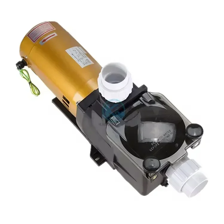 Swimming Pool Filter Pump Xihuo Swimming Pool Water Pump Double Control Spa MassagePool Sewage