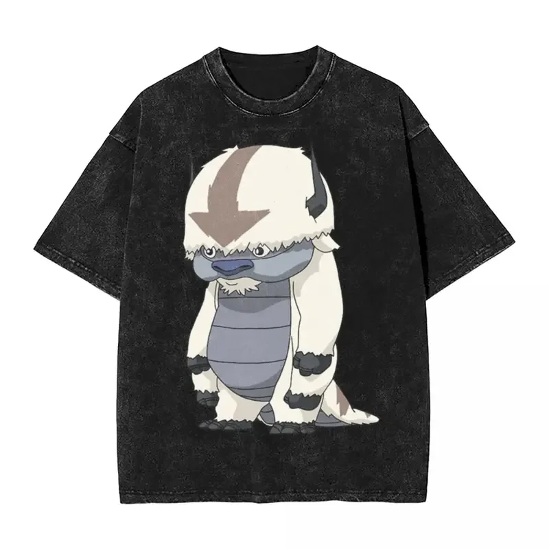 Avatar The Last Airbender Appa Standing Washed T Shirt Streetwear Hip Hop Vintage T-Shirt Tee Shirt Men Women Oversize Printed